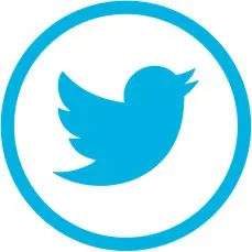 Twitter ( X )